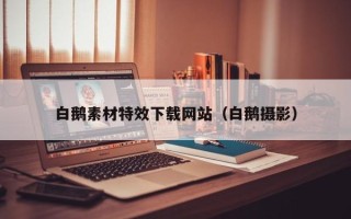 云梦白鹅素材特效下载网站（白鹅摄影）